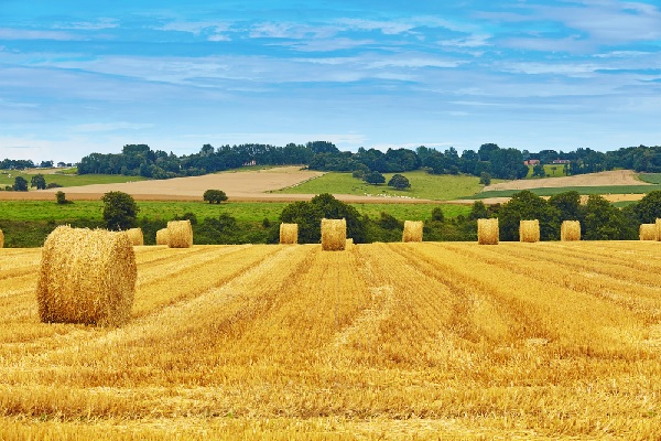 Secteur agricole et « Pec résilience » : un délai supplémentaire