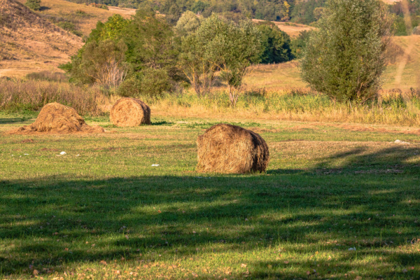 Agrandissement d’exploitations agricoles : quand la procédure est suspendue…