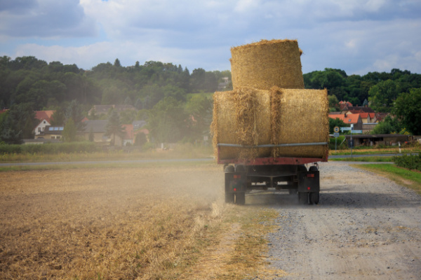 Bail rural et indemnité d’amélioration en fin de contrat : des précisions du juge Bail rural et indemnité d’amélioration en fin de contrat : des précisions du juge