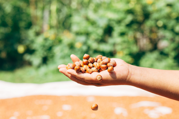 Aide financière pour les agriculteurs biologiques : un délai supplémentaire !