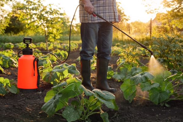 Pesticides : rappels utiles sur la réglementation