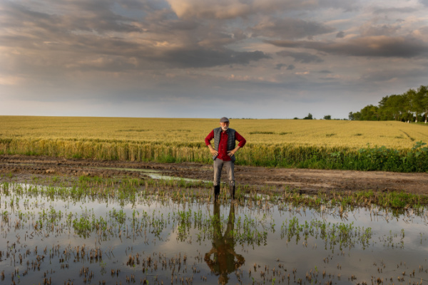 Calamités agricoles 2023 : à épisodes exceptionnels, indemnisation exceptionnelle