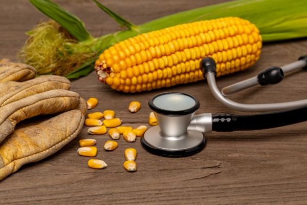 Travailleurs agricoles : bientôt du nouveau en matière de suivi de l’état de santé ! Travailleurs agricoles : bientôt du nouveau en matière de suivi de l’état de santé !