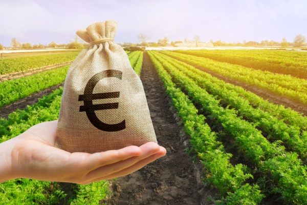 Agriculture : précisions sur les aides écorégime Agriculture : précisions sur les aides écorégime