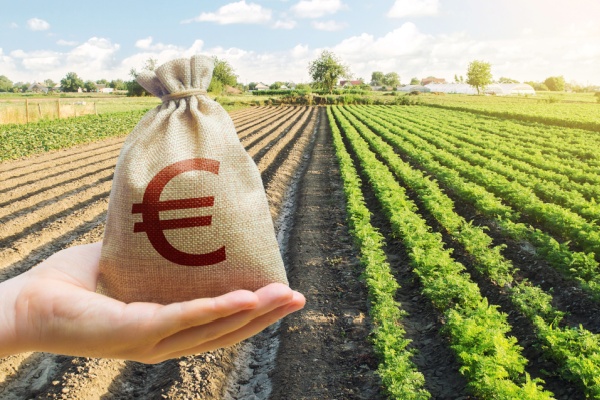Aides à l’installation des jeunes agriculteurs : précisions sur les sanctions Aides à l’installation des jeunes agriculteurs : précisions sur les sanctions
