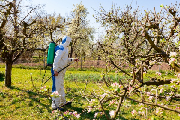 Commerce de fruits : une nouvelle limitation à connaître Commerce de fruits : une nouvelle limitation à connaître