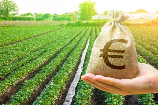 Taxe foncière sur les terres agricoles : une exonération déjà en hausse ?