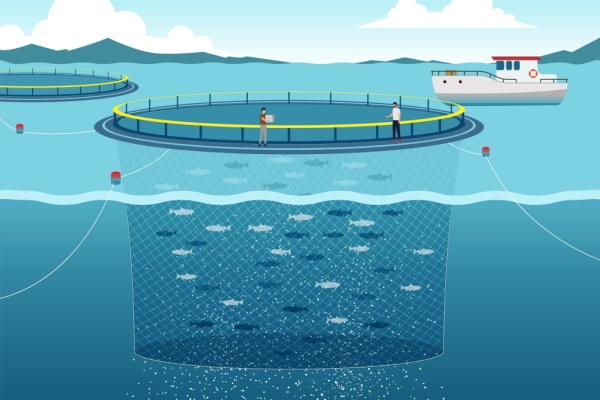 Pisciculture marine et concession d’exploitation : des critères à connaître 