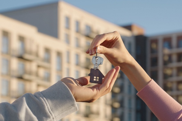 Prescription acquisitive à Mayotte : un délai raccourci 